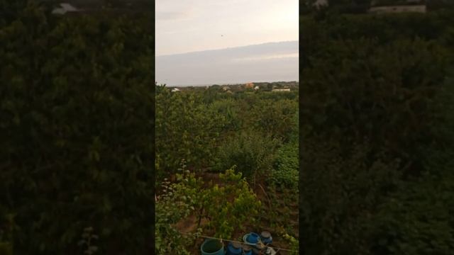 Праздник Троицы в селе Троицком смотреть онлайн