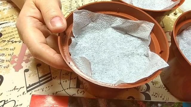 Посев под ЗИМУ! АСТРА! КРЕПКАЯ РАССАДА! БЕЗ ХЛОПОТ. ОЧЕНЬ ПРОСТО. ЧАСТЬ №2 смотреть онлайн