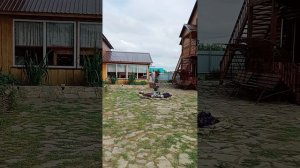 ГОСТИНИЧНЫЙ КОМПЛЕКС ОТ ЕЛЕНЫ 
Озеро МЕДВЕЖЬЕ 
КУРГАНСКАЯ ОБЛАСТЬ