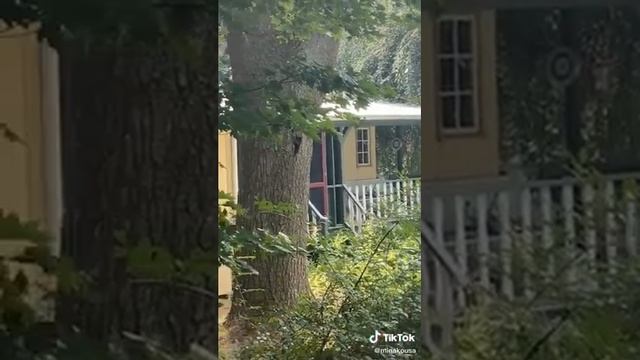 дом музей где храниться кукла Аннабель смотреть онлайн