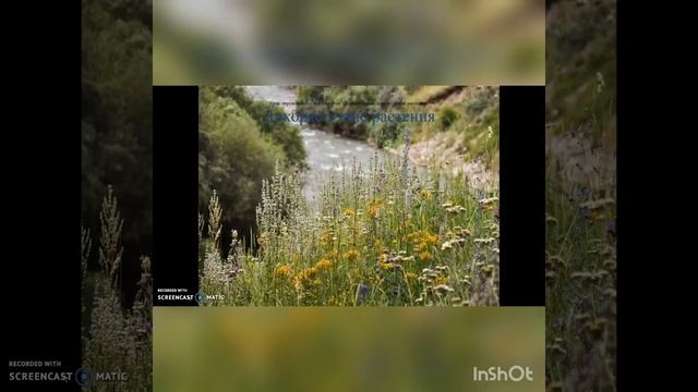 Предшкольный класс. Естествознание. Урок 6. Что общего у герани и первоцвета? смотреть онлайн