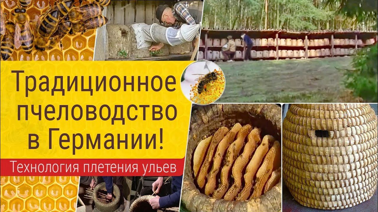 Традиционное пчеловодство в Германии! смотреть онлайн