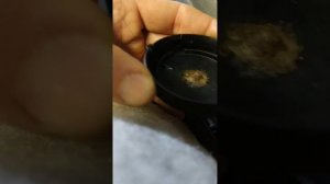 Замена мембраны ВКГ на VW AG 1.6, 2.0 TDI