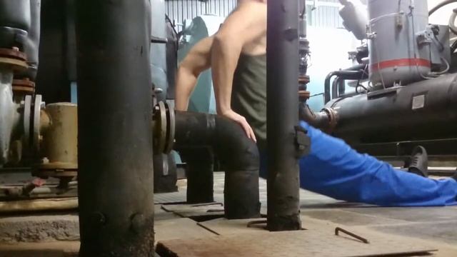 Обратные ОТЖИМАНИЯ НА трицепс от труб / Заводской качок смотреть онлайн