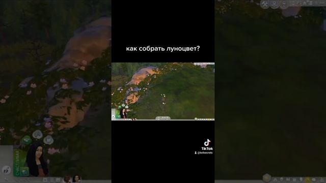 КАК СОБРАТЬ ЛУНОЦВЕТ? СИМС 4 ОБОРОТНИ смотреть онлайн