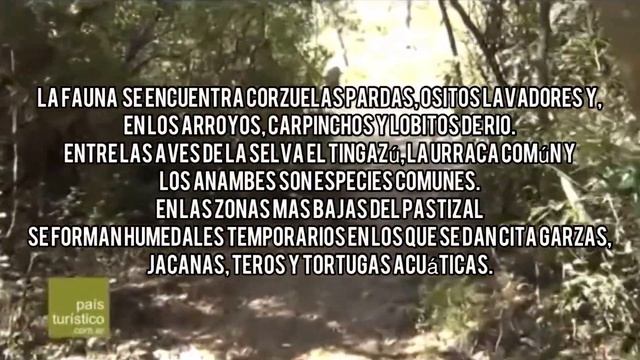 El palmar- parque nacional смотреть онлайн