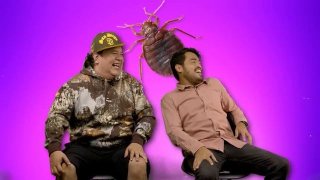 Casas color menta y mentarla con mariachi! смотреть онлайн