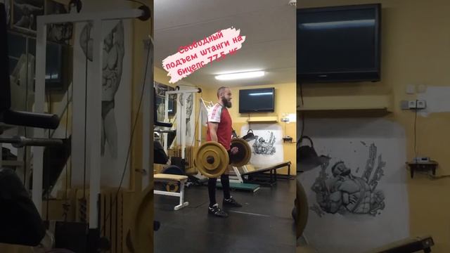 Свободный подъём штанги на бицепс #силовыевидыспорта #пауэрлифтинг #пауэрспорт #бицепс смотреть онлайн