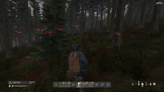 DayZ flag смотреть онлайн