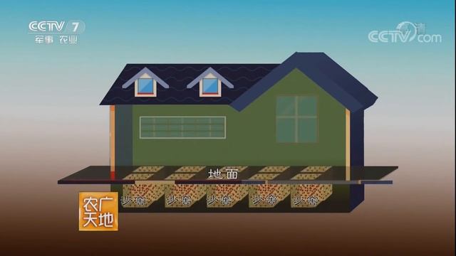 Как выращивают тис в Китае?! смотреть онлайн