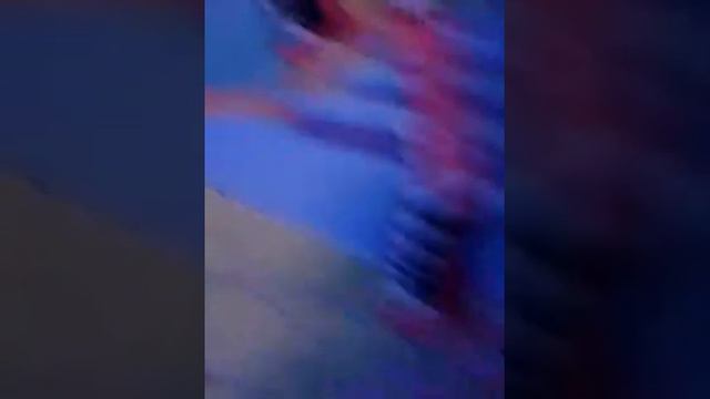 Мои журналы монстр хай смотреть онлайн