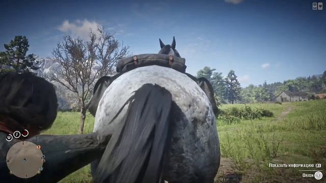 Red Dead Redemption 2: Показываем друг другу ножи и тискаем лошадь 18+ смотреть онлайн