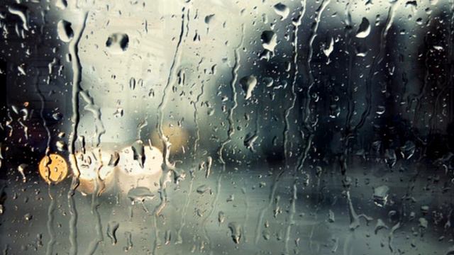 Сахиб Мамедов — Корень бед смотреть онлайн