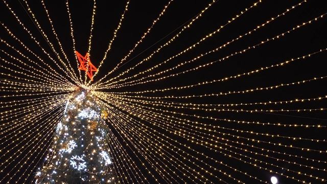 Новогодняя ёлка с множеством мерцающих гирлянд. Веселого Рождества и счастливого нового года смотреть онлайн