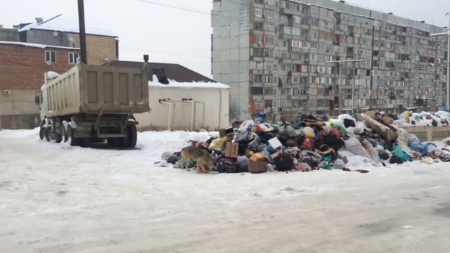 Город Махачкала смотреть онлайн