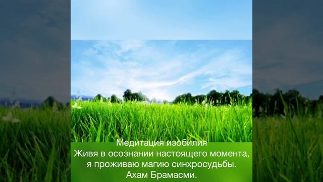 День 15 Медитации на Изобилие Оригинал (English). смотреть онлайн