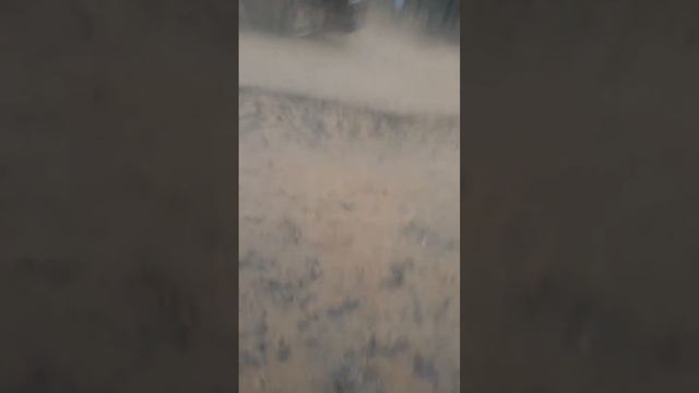 ЮКО п.Тюлькубас При постройке поликлиники не учли водоотвод топит здания через дорогу смотреть онлайн