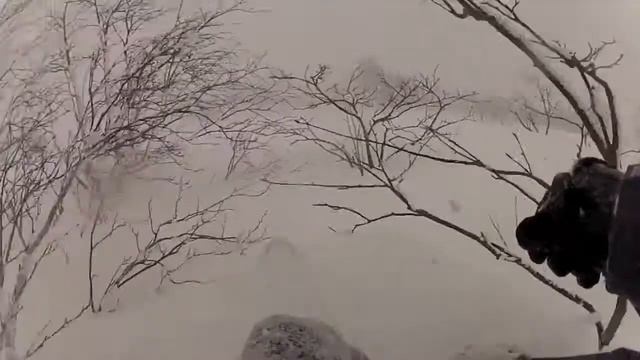 Brown Bears in Hokkaido - 2013 смотреть онлайн