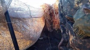 Охота на гуся 2023 в Кировской области часть 1