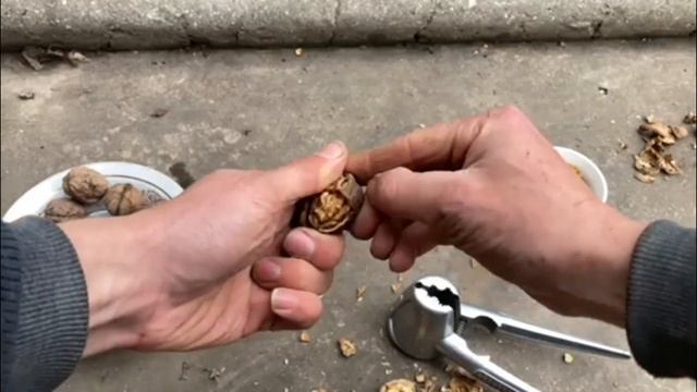 Як заробити на грецьких горіхах? смотреть онлайн