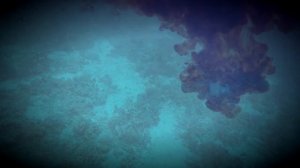 Дельфинёнок.mp4