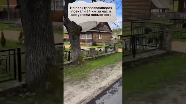 Минск-Беловежская пуща #путешествия #тревелвлог #поймайменяеслисможешь смотреть онлайн