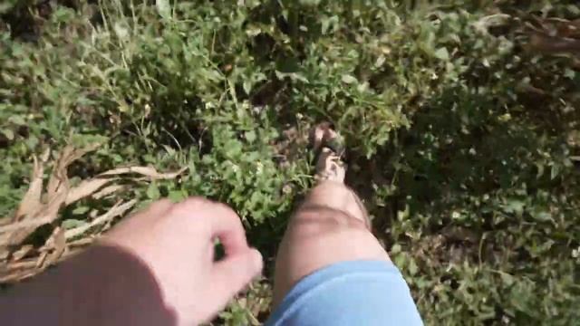 Мадагаскар. Честный обзор смотреть онлайн