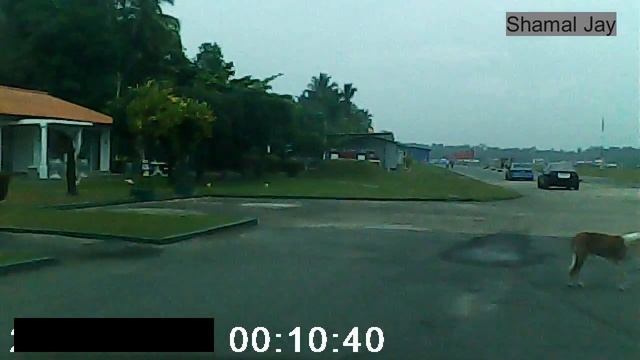 #Katu here we come - HondaClub of Sri lanka смотреть онлайн