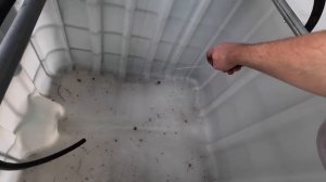 РАЗВЕДЕНИЕ КАРПА НА ФЕРМЕ РЫБХОЗ В ДОМАШНИХ УСЛОВИЯХ