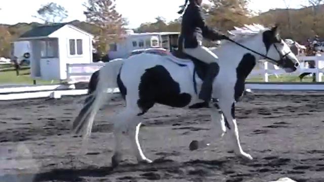 Erica Dressage, Maryland Horse Trials, October 2011 смотреть онлайн