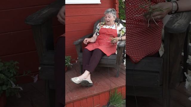 Как я навсегда избавилась от пырея ? смотреть онлайн