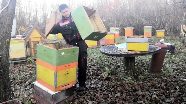 Работа с Рутовскими ульями Важная часть улья 5 способов применения подкрышника смотреть онлайн