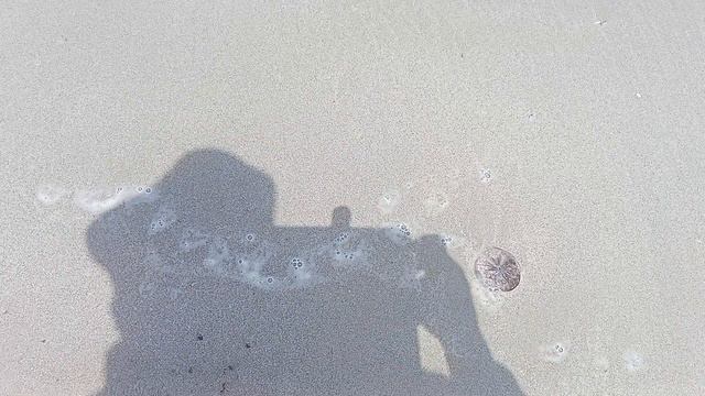 Ходилки и бродилки по пляжу в Паттайе, Таинланд смотреть онлайн