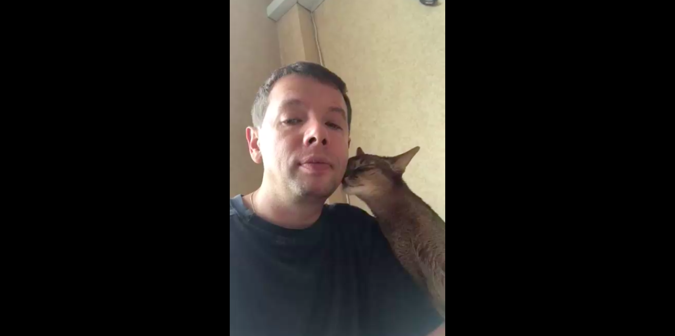 хитрюга смотреть онлайн