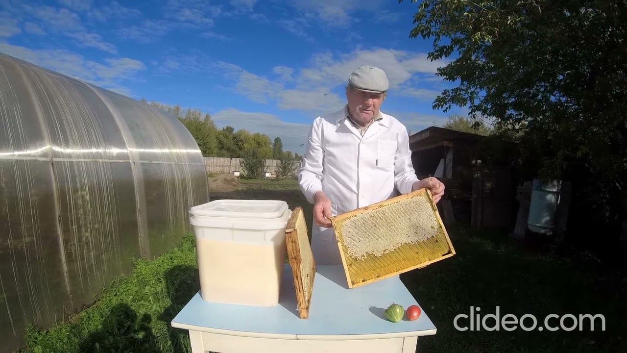 Немного о мёде. смотреть онлайн