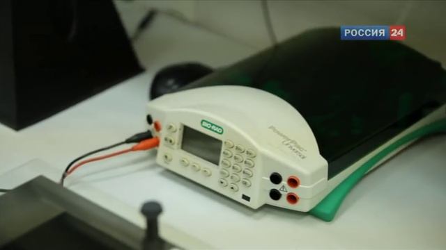 Профессионал с Асей Долиной «Биоинформатик» смотреть онлайн