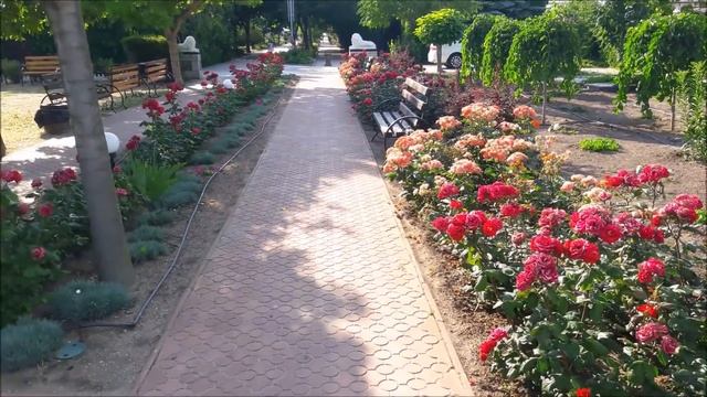 База отдыха Променад Кириловка Федотова коса Часть 2 из 4 смотреть онлайн