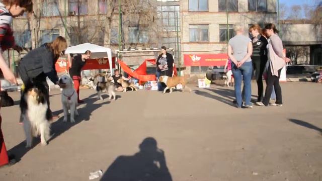 BIS открытая выставка 20 апреля 2014 смотреть онлайн