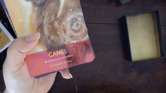 Archangel Animal Oracle Cards ⭐ Oracle Deck Review смотреть онлайн