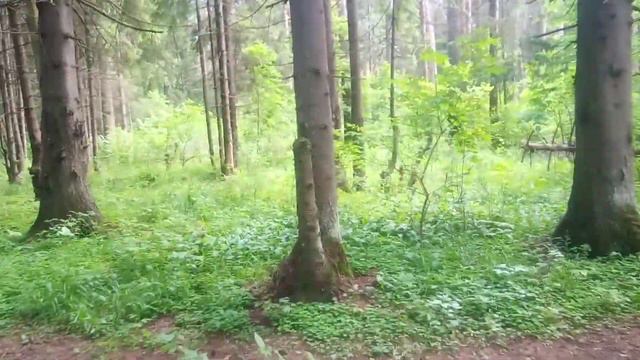 13 июня 2020 г. смотреть онлайн