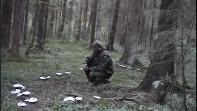 Ведьмин круг грибов . Рядовки дымчато серые в лесу, Говорушки. смотреть онлайн