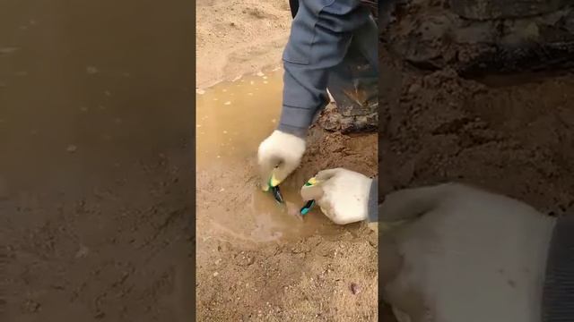 Как разработать плоскогубцы (кусачики), если они туго работают (заржавели)