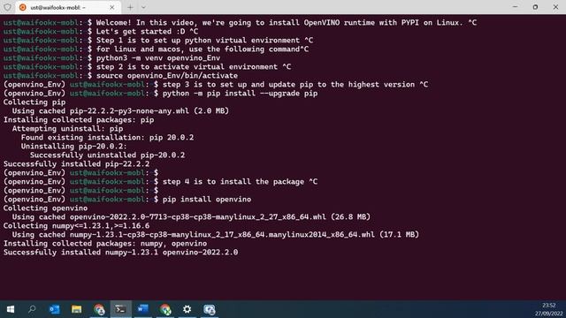 Steps to install Intel® Distribution of OpenVINO™ Toolkit from PyPI Repository смотреть онлайн