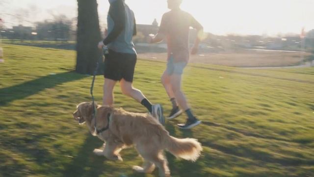 Run Too Hard in Chicago | In The Wild | Nike смотреть онлайн