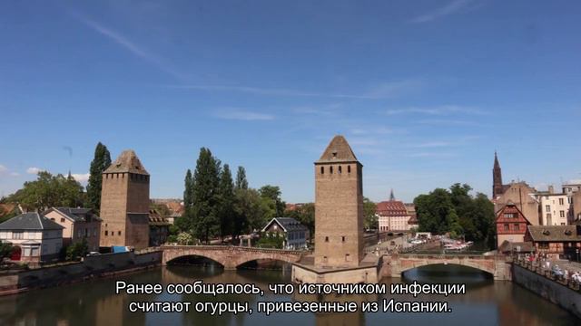 Роспотребнадзор может запретить овощи из Европы смотреть онлайн