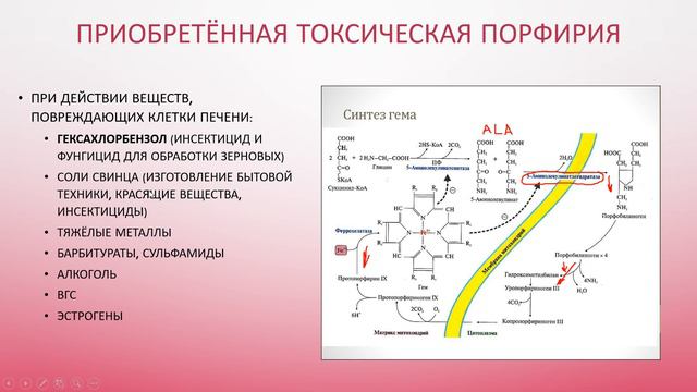 2 Приобретённая токсическая порфирия