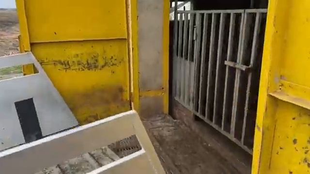 Погрузка скотовоза Солдатское Белгородская область смотреть онлайн