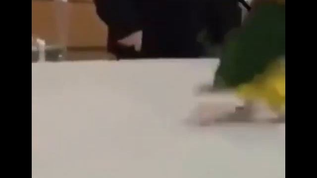 Попугай с ручками смотреть онлайн