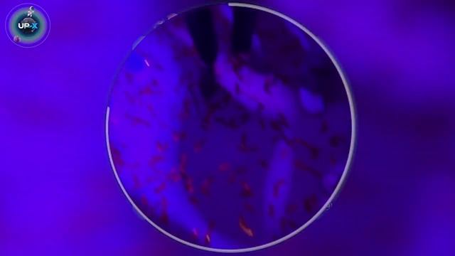 ХАЗЯЕВА БYХАЮТ НА ВПИСКЕ смотреть онлайн