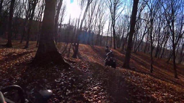 Квадроциклы, покатушки на квадриках в лесу linhai eyas m150 yamaha смотреть онлайн